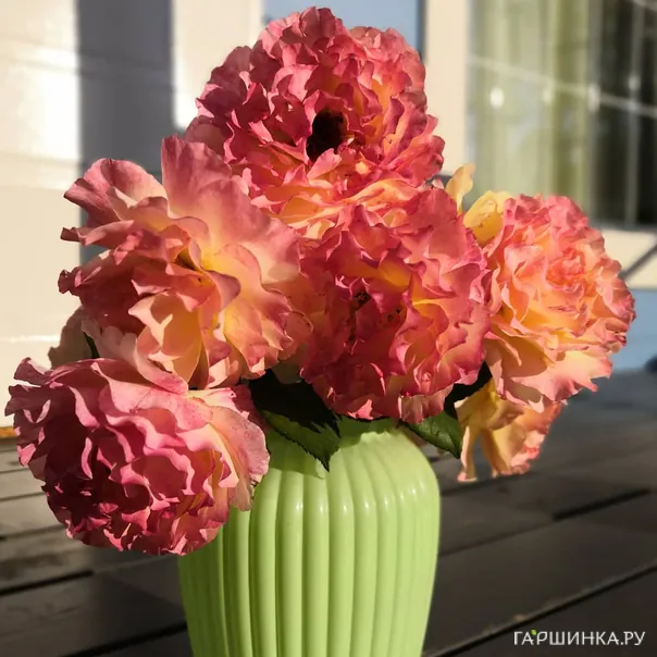 превью изображения отзыва