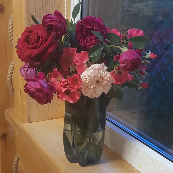 превью изображения отзыва