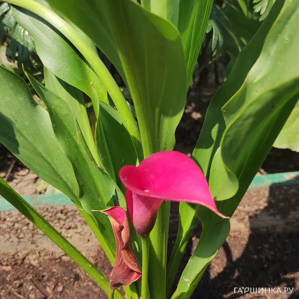 превью изображения отзыва