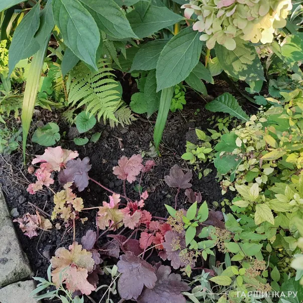 превью изображения отзыва