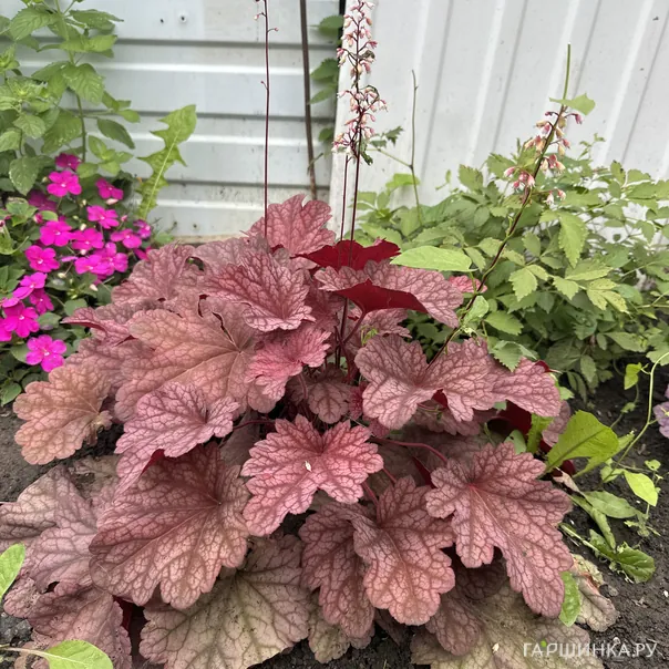 превью изображения отзыва