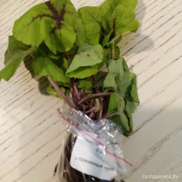 превью изображения отзыва