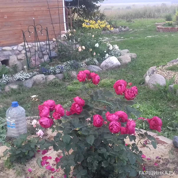 превью изображения отзыва