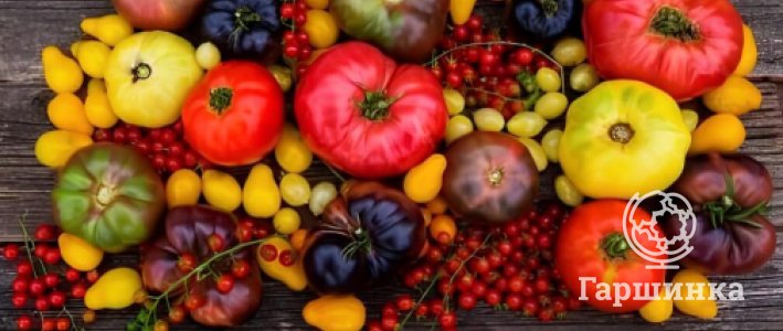 Томаты на любой вкус: как выбрать томаты по цвету и форме