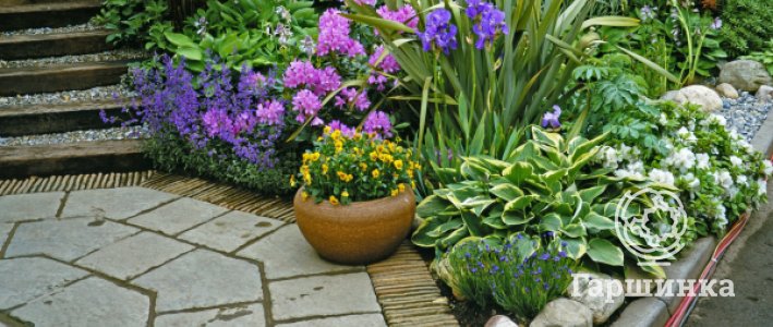 Контейнерный сад: какие растения выбрать и как создать гармоничную композицию