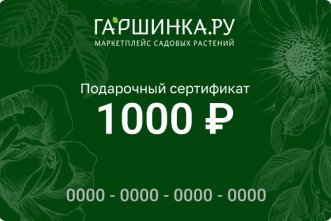 Подарочный сертификат интернет-магазина «Гаршинка.ру» номиналом 1000 рублей