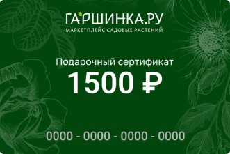 Подарочный сертификат интернет-магазина «Гаршинка.ру» номиналом 1500 рублей