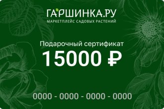 Подарочный сертификат интернет-магазина «Гаршинка.ру» номиналом 15000 рублей
