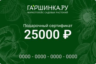 Подарочный сертификат интернет-магазина «Гаршинка.ру» номиналом 25000 рублей