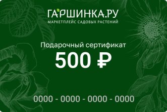 Подарочный сертификат интернет-магазина «Гаршинка.ру» номиналом 500 рублей