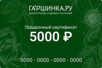 Подарочный сертификат интернет-магазина «Гаршинка.ру» номиналом 5000 рублей
