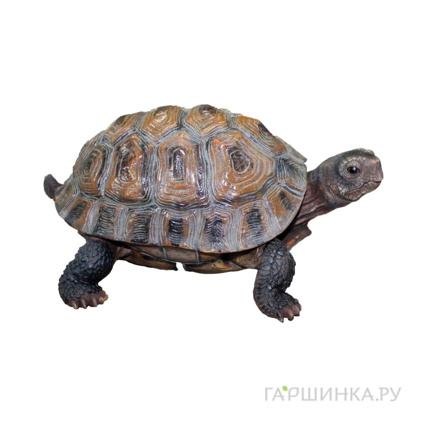 Черепаха средняя 14*33*24