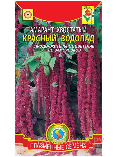 Амарант Красный водопад (Плазмас)