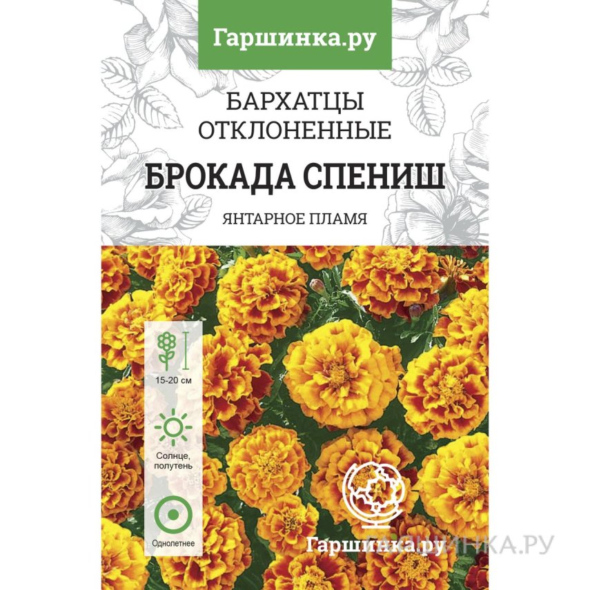 Бархатцы Брокад Спэниш откл. махровые