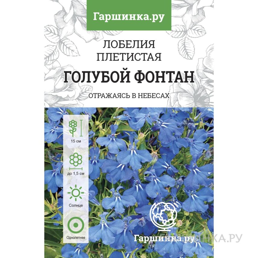 Лобелия Голубой фонтан