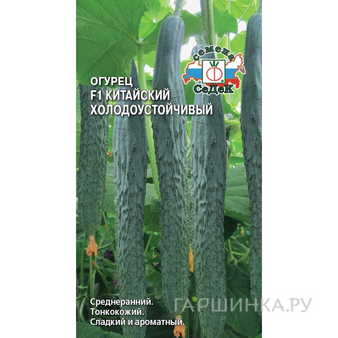 Огурец Китайский Холодоустойчивый F1 ц/п, Семена Седек