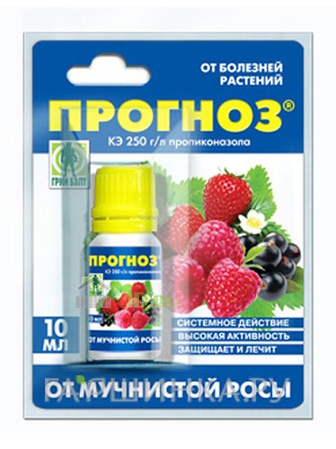 Прогноз (от мучнистой росы)