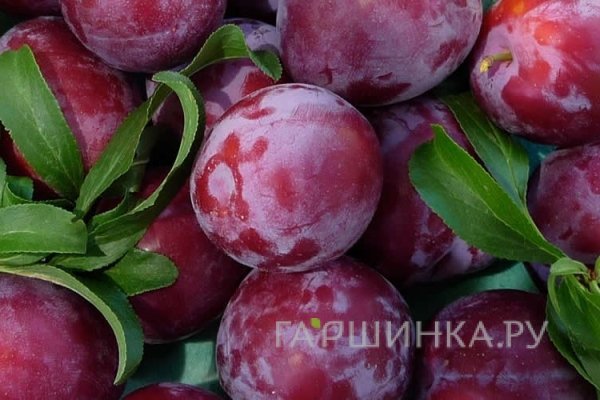 Слива китайская Обильная