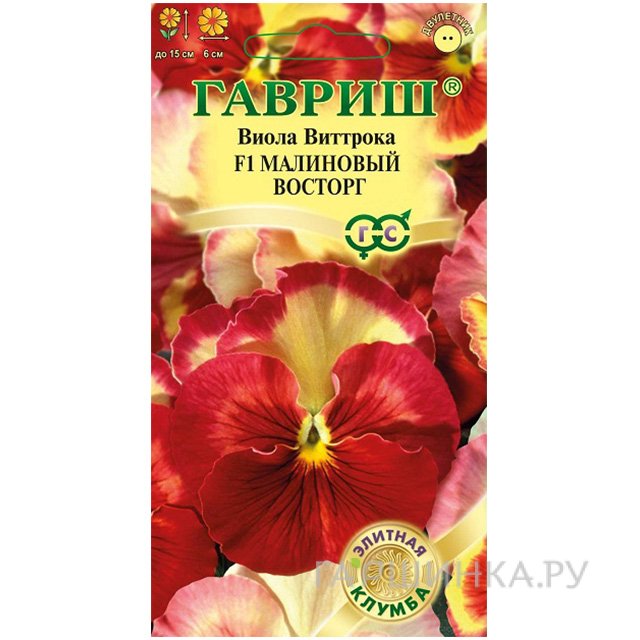 Виола Малиновый восторг, Виттрока, 5 шт.