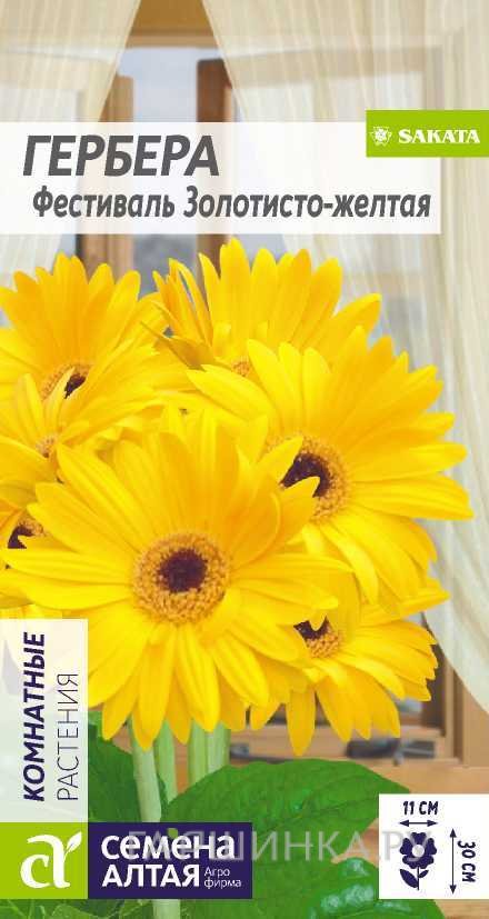 Гербера Фестиваль Золотисто-желтая 3шт.