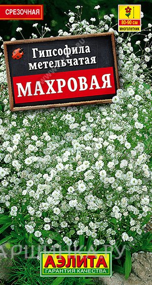 Гипсофила махровая 0,05гр ЦП