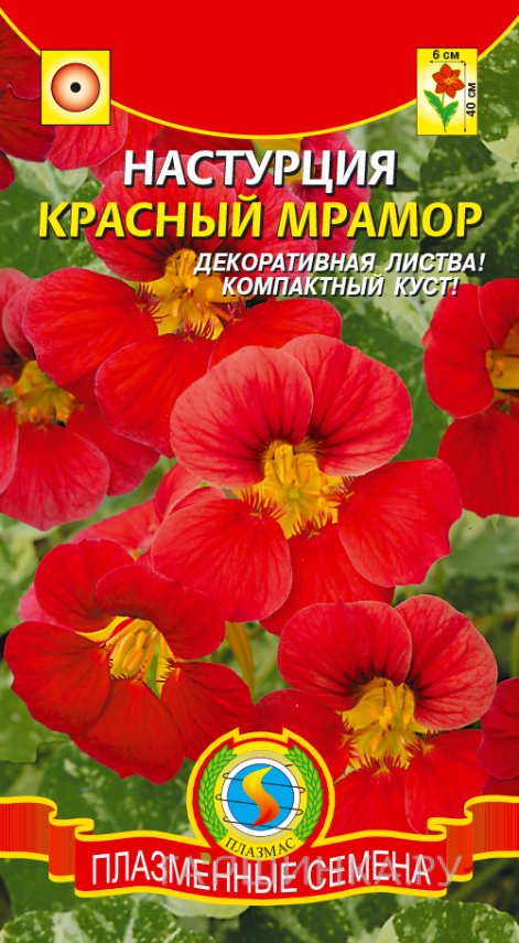 Настурция Красный мрамор ц.п. 6 шт