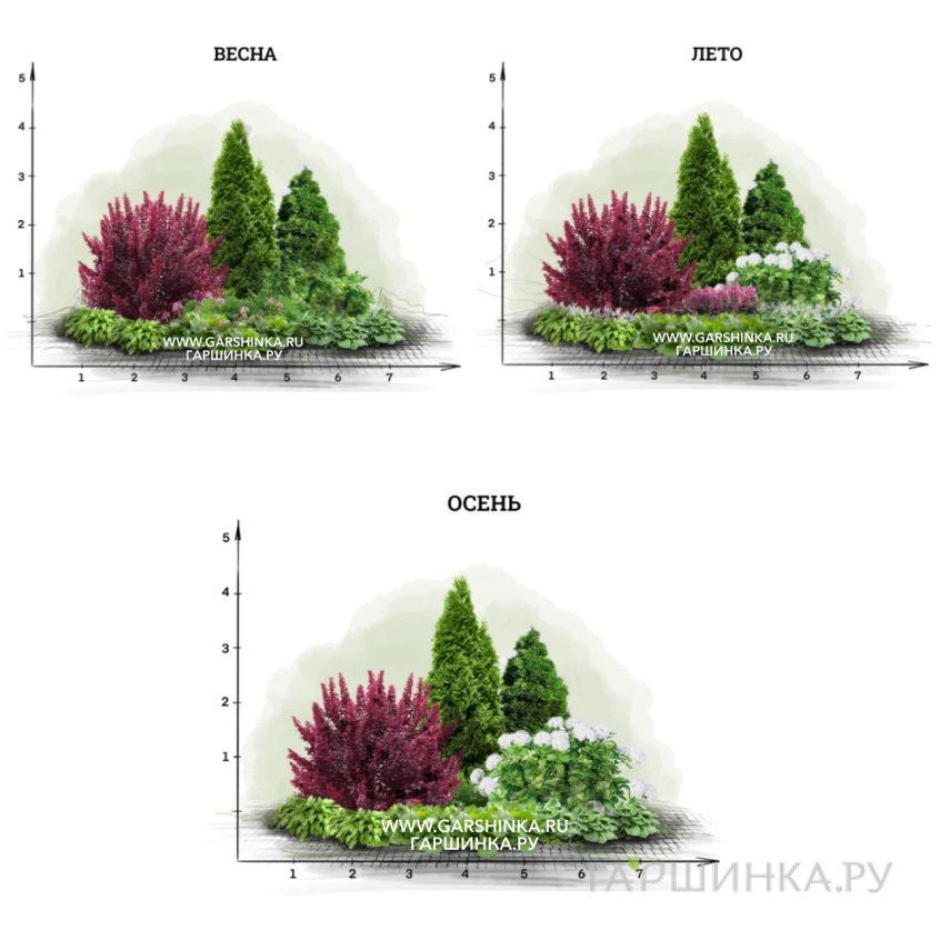 Цветник для тенистого сада: хвойные и лиственные