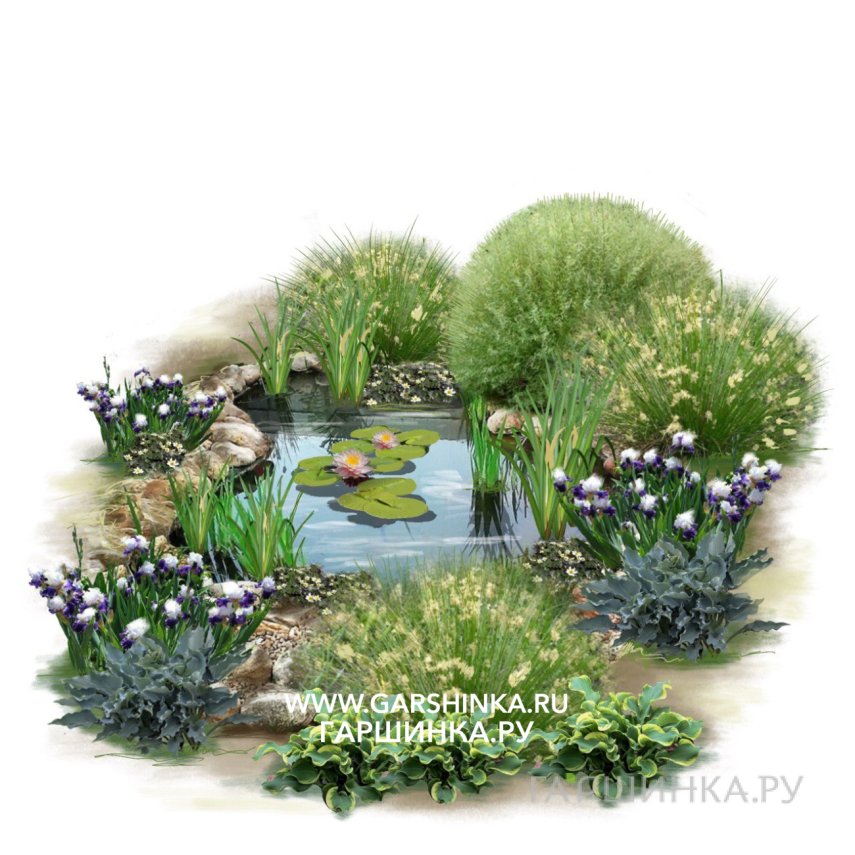 Цветник для декоративного пруда/водоема