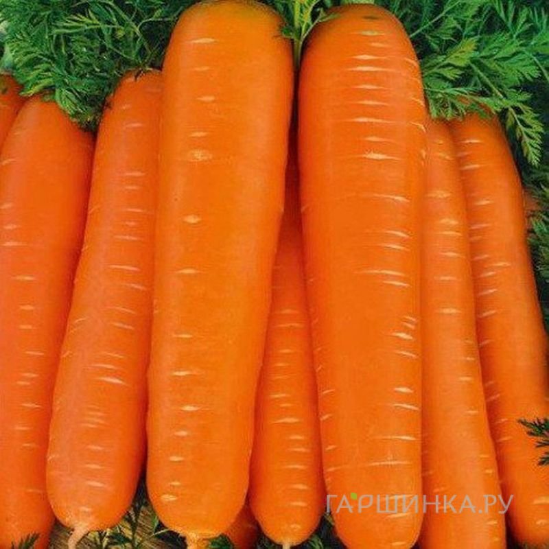 Морковь Нантская 5 суперсочная 2 г, Семена Аэлита