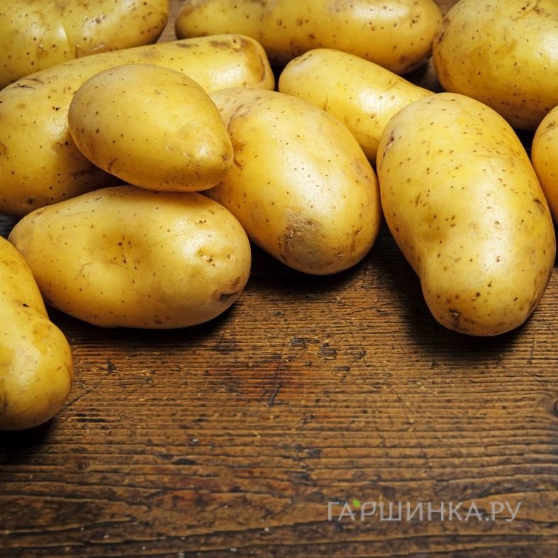Картофель Сказка