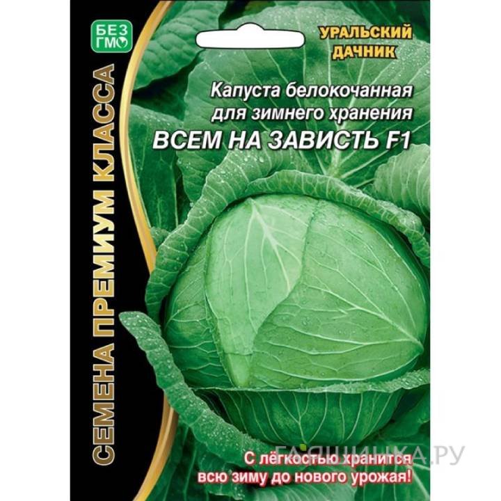 Капуста Всем на зависть белокочанная ЦП Семена Уральский Дачник