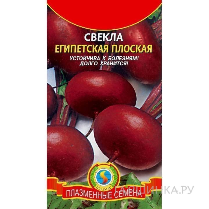 Свекла Египетская плоская ц.п. 2,5 гр
