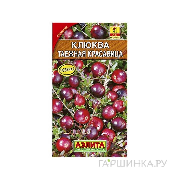 Клюква Таежная красавица ЦП