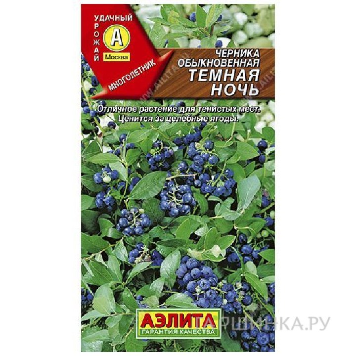 Черника Темная ночь 0,01гр ЦП
