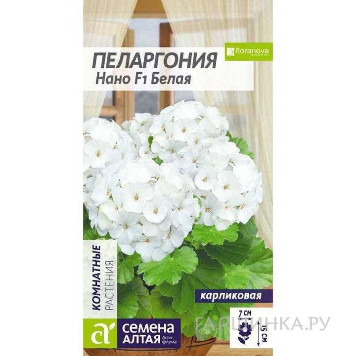 Пеларгония Нано Белая 3шт ЦП