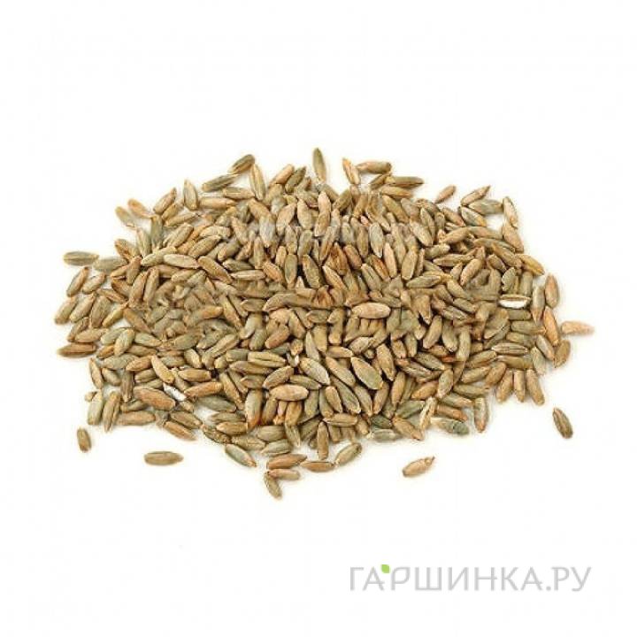 Рожь 0,5 кг