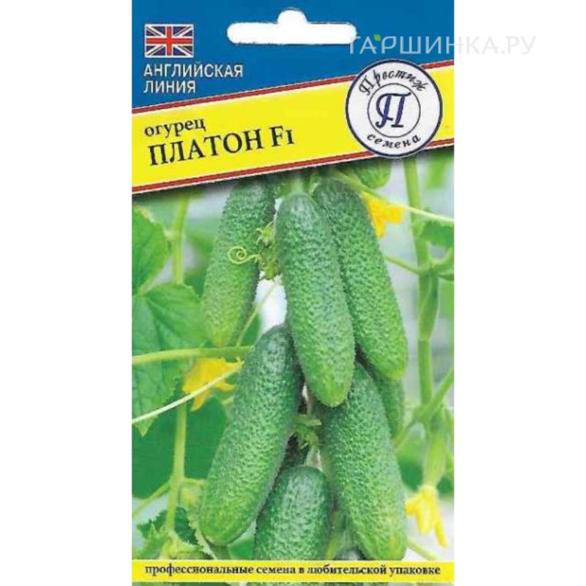 Огурец Платон F1 5 шт, Семена Престиж