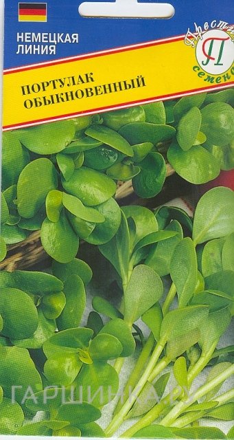 Портулак обыкновенный 1 г, Семена Престиж