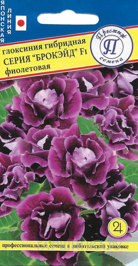 Глоксиния "Брокэйд" Фиолетовая F1 10 др, Престиж