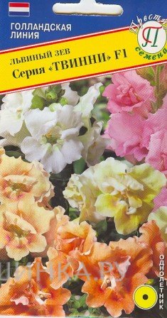 Львиный зев "Твинни" F1 7 шт, Престиж
