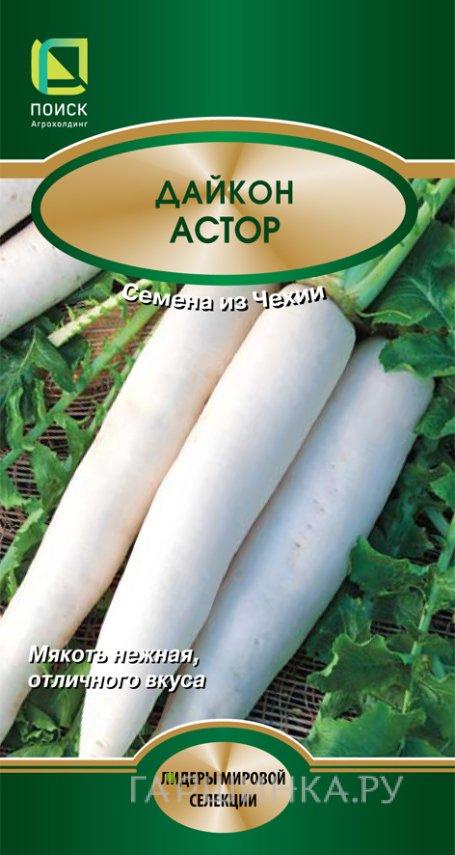 Дайкон Астор 1, Поиск