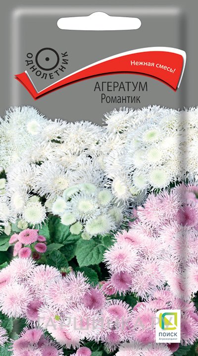Агератум Романтик 0,1, Поиск