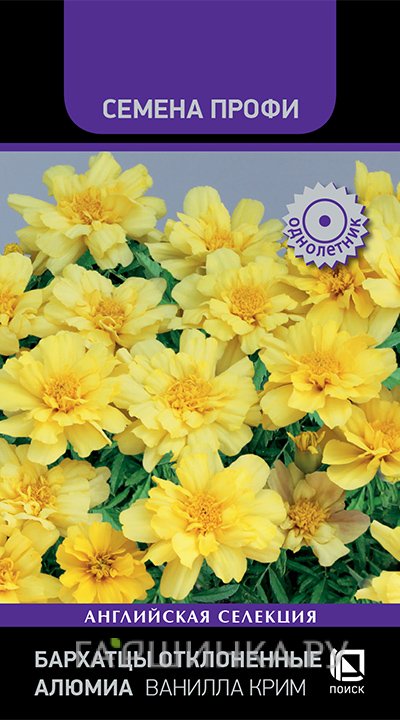 Бархатцы отклоненные Алюмиа Ванилла Крим 10, Поиск