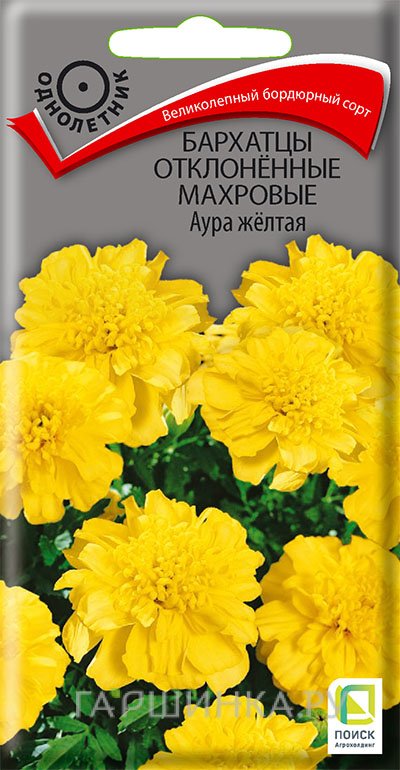 Бархатцы Аура желтая отклоненные махровые 0,4 г, Семена Поиск