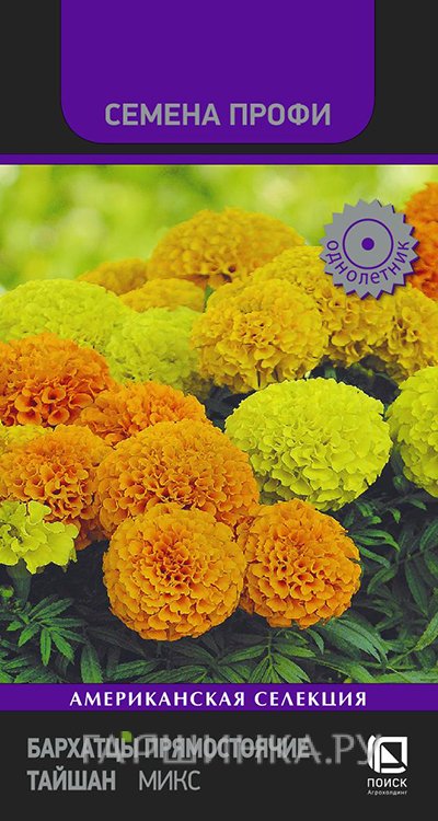 Бархатцы прямостоячие Тайшан Микс 10, Поиск