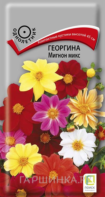 Георгина Мигнон Микс 0,2 г, Семена Поиск