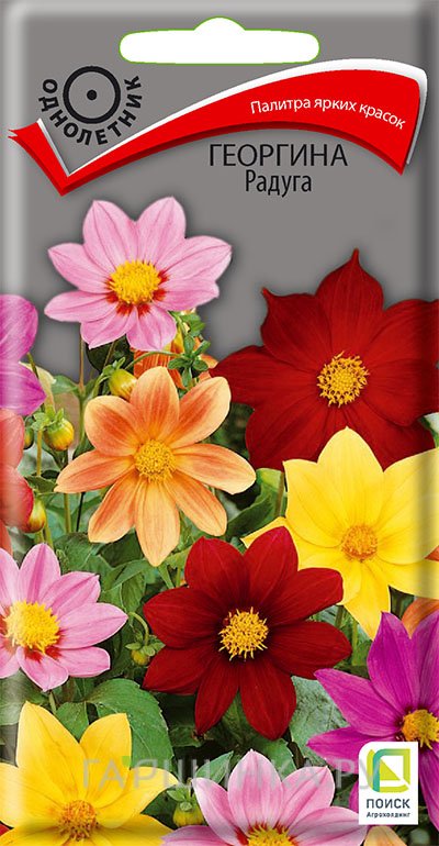 Георгина Радуга 0,3 г, Семена Поиск