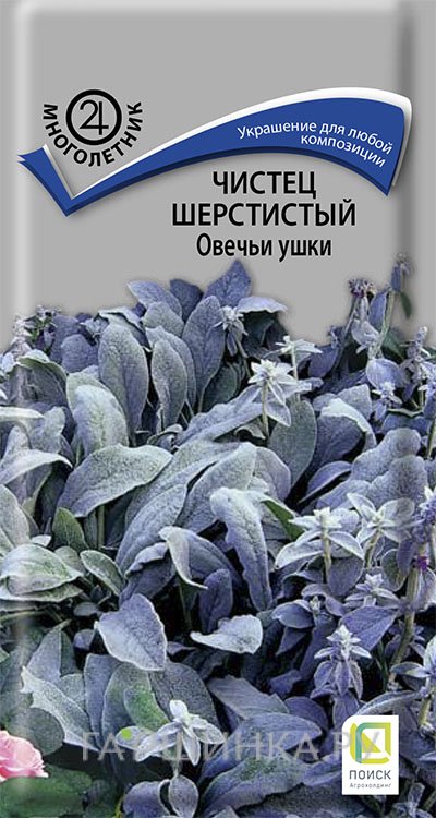 Чистец Овечьи ушки шерстистый 0,1 г, Семена Поиск