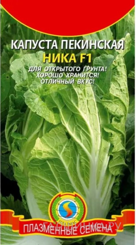 Пекинская капуста Ника F1 0,1 г, Плазменные семена