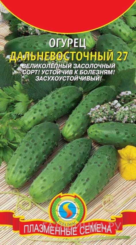 Огурец Дальневосточный 27 12 шт, Плазменные семена